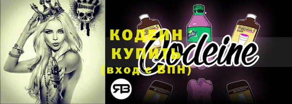 дмт Богданович