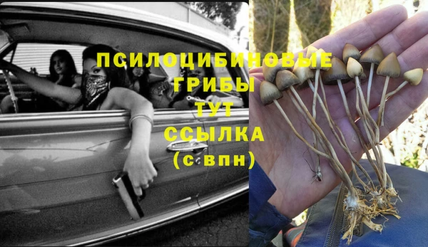 гидропоника Белоозёрский