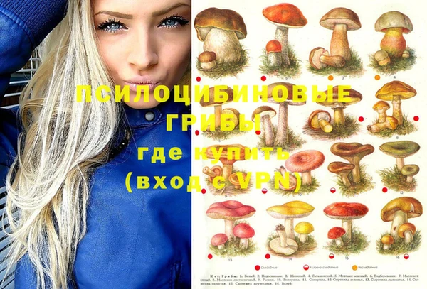 гидропоника Белоозёрский