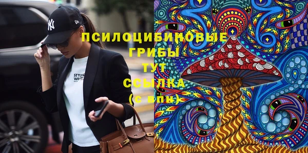 дмт Богданович