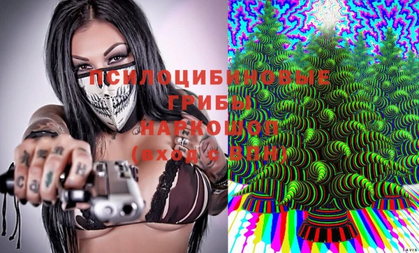 COCAINE Богородск